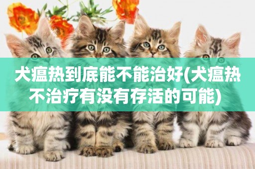 犬瘟熱到底能不能治好(犬瘟熱不治療有沒有存活的可能) 