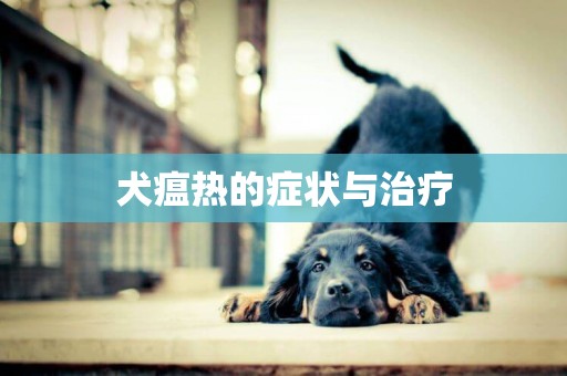 犬瘟熱的癥狀與治療