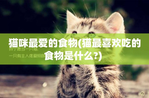 貓咪最愛的食物(貓最喜歡吃的食物是什么?) 