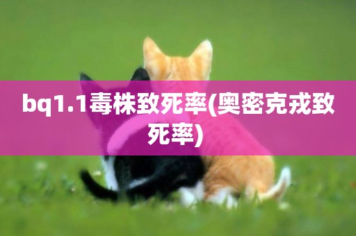 bq1.1毒株致死率(奧密克戎致死率) 