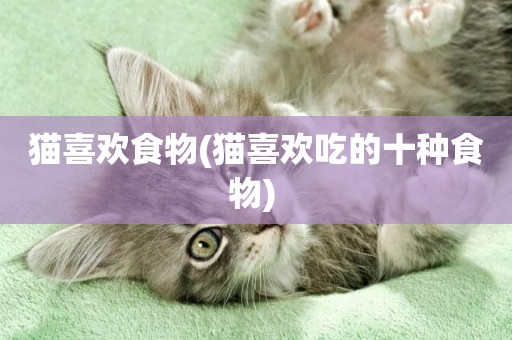 貓喜歡食物(貓喜歡吃的十種食物) 