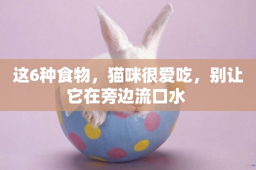 這6種食物，貓咪很愛吃，別讓它在旁邊流口水 