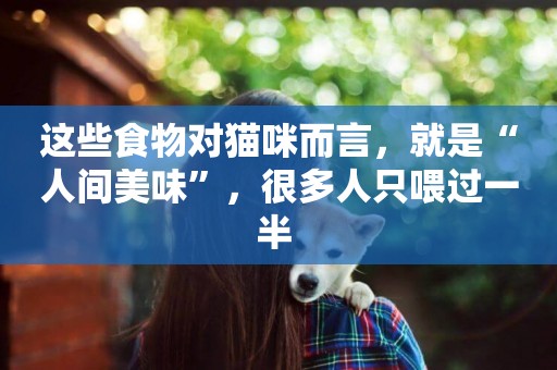 這些食物對貓咪而言，就是“人間美味”，很多人只喂過一半 