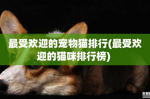 最受歡迎的寵物貓排行(最受歡迎的貓咪排行榜) 