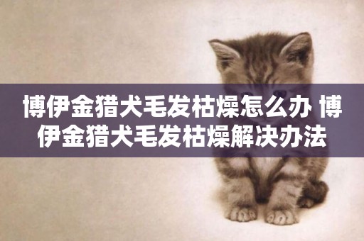 博伊金獵犬毛發枯燥怎么辦 博伊金獵犬毛發枯燥解決辦法
