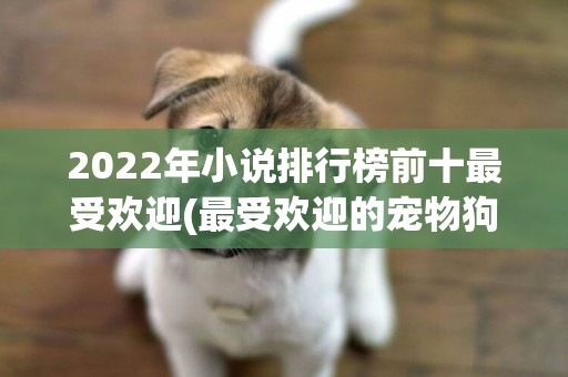 2022年小說排行榜前十最受歡迎(最受歡迎的寵物狗排行榜) 