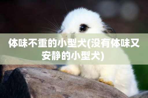 體味不重的小型犬(沒有體味又安靜的小型犬) 