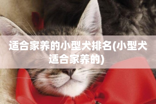 適合家養的小型犬排名(小型犬適合家養的) 