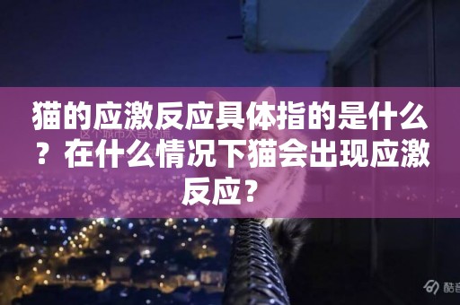 貓的應激反應具體指的是什么？在什么情況下貓會出現應激反應？ 