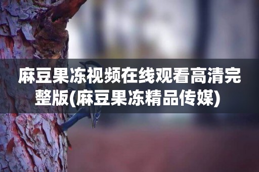 麻豆果凍視頻在線觀看高清完整版(麻豆果凍精品傳媒) 