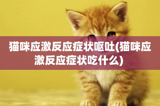 貓咪應激反應癥狀嘔吐(貓咪應激反應癥狀吃什么) 