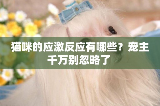 貓咪的應激反應有哪些？寵主千萬別忽略了 