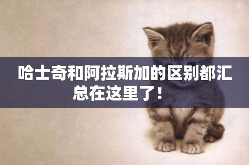 哈士奇和阿拉斯加的區別都匯總在這里了！ 