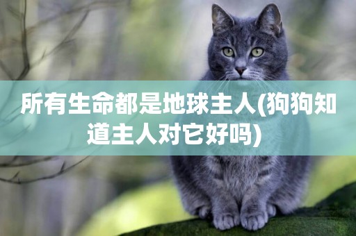 所有生命都是地球主人(狗狗知道主人對它好嗎) 