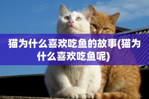 貓為什么喜歡吃魚的故事(貓為什么喜歡吃魚呢) 