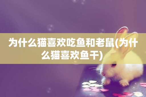 為什么貓喜歡吃魚和老鼠(為什么貓喜歡魚干) 