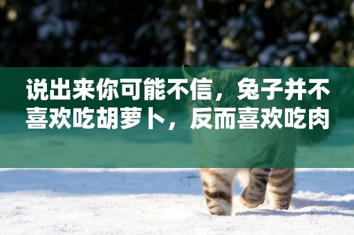說出來你可能不信，兔子并不喜歡吃胡蘿卜，反而喜歡吃肉 