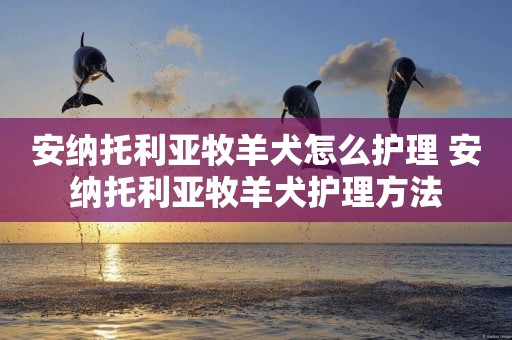 安納托利亞牧羊犬怎么護理 安納托利亞牧羊犬護理方法