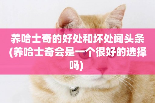 養哈士奇的好處和壞處聞頭條(養哈士奇會是一個很好的選擇嗎) 