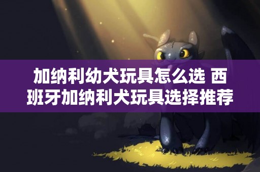 加納利幼犬玩具怎么選 西班牙加納利犬玩具選擇推薦