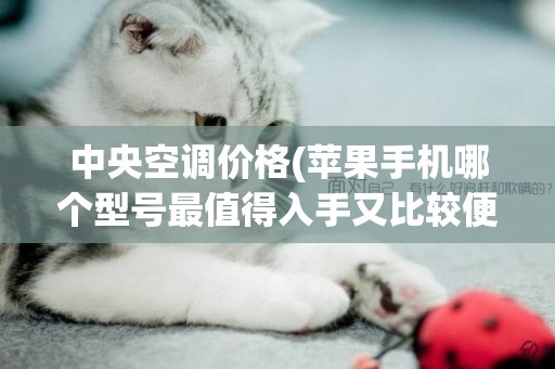 中央空調價格(蘋果手機哪個型號最值得入手又比較便宜) 