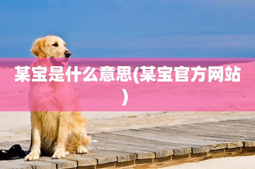 某寶是什么意思(某寶官方網站) 
