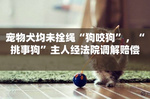 寵物犬均未拴繩“狗咬狗”，“挑事狗”主人經法院調解賠償 