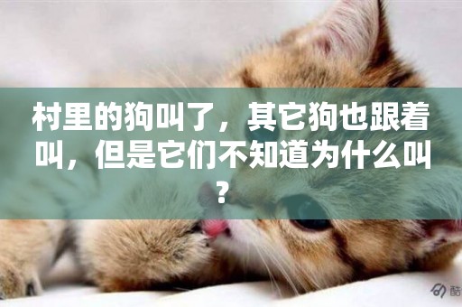 村里的狗叫了，其它狗也跟著叫，但是它們不知道為什么叫？ 