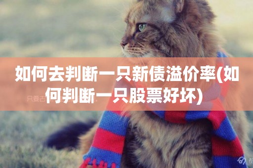 如何去判斷一只新債溢價率(如何判斷一只股票好壞) 