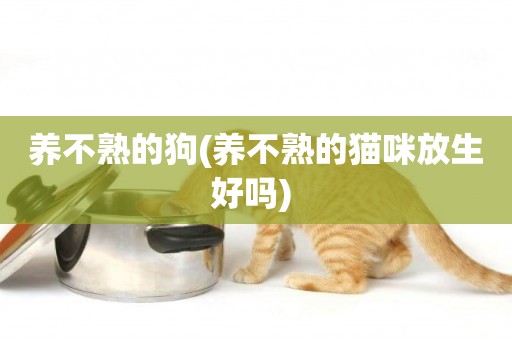 養不熟的狗(養不熟的貓咪放生好嗎) 