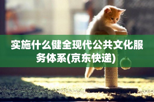 實施什么健全現代公共文化服務體系(京東快遞) 