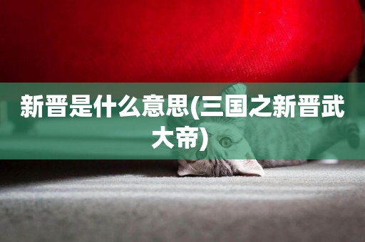 新晉是什么意思(三國之新晉武大帝) 