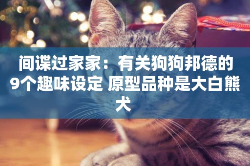 間諜過家家：有關狗狗邦德的9個趣味設定 原型品種是大白熊犬 