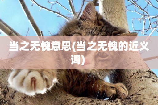 當之無愧意思(當之無愧的近義詞) 