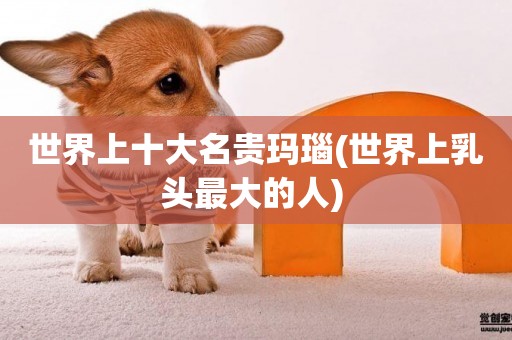 世界上十大名貴瑪瑙(世界上乳頭最大的人) 