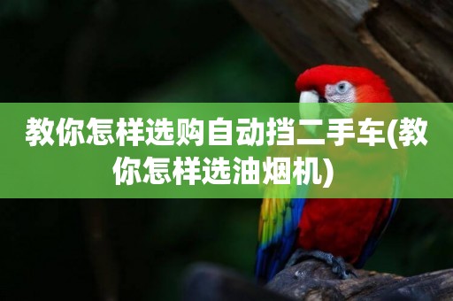 教你怎樣選購自動擋二手車(教你怎樣選油煙機) 