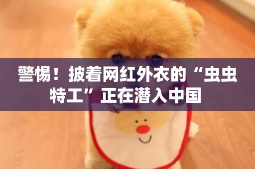 警惕！披著網紅外衣的“蟲蟲特工”正在潛入中國 