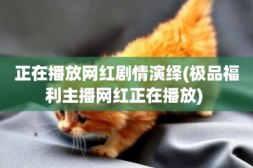 正在播放網紅劇情演繹(極品福利主播網紅正在播放) 