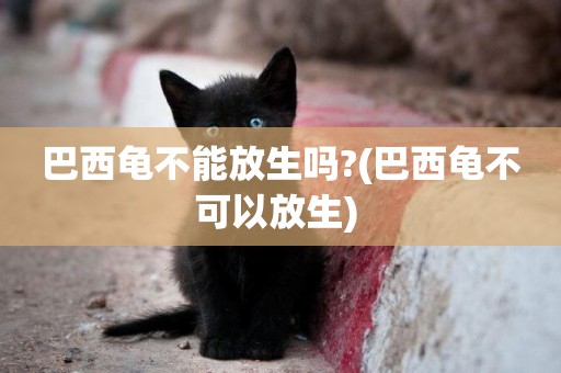 巴西龜不能放生嗎?(巴西龜不可以放生) 
