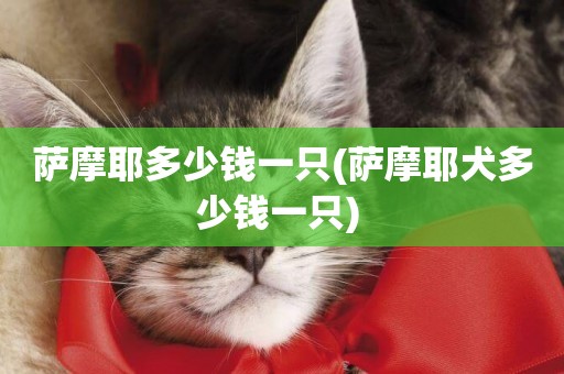 薩摩耶多少錢一只(薩摩耶犬多少錢一只) 