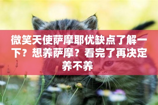 微笑天使薩摩耶優缺點了解一下？想養薩摩？看完了再決定養不養 