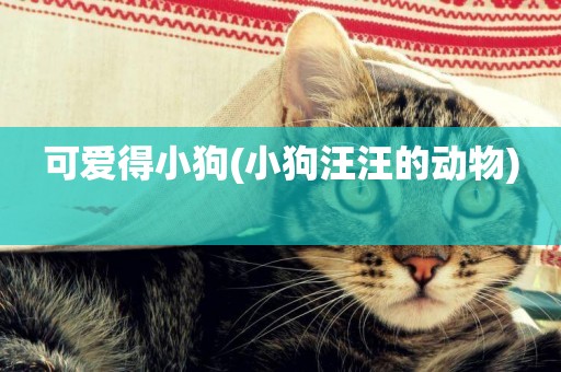 可愛得小狗(小狗汪汪的動物) 