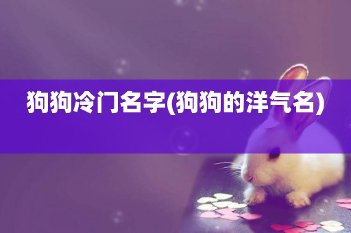 狗狗冷門名字(狗狗的洋氣名) 