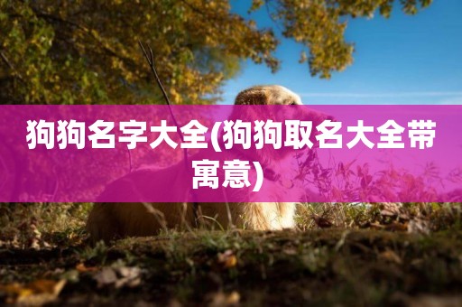 狗狗名字大全(狗狗取名大全帶寓意) 