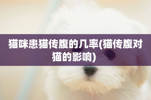 貓咪患貓傳腹的幾率(貓傳腹對貓的影響) 
