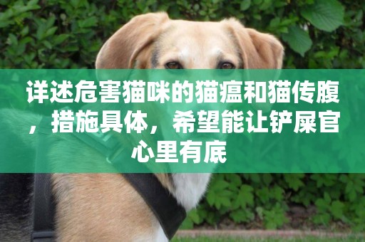 詳述危害貓咪的貓瘟和貓傳腹，措施具體，希望能讓鏟屎官心里有底 
