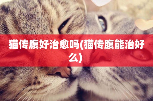 貓傳腹好治愈嗎(貓傳腹能治好么) 