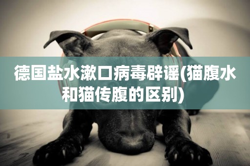 德國鹽水漱口病毒辟謠(貓腹水和貓傳腹的區別) 