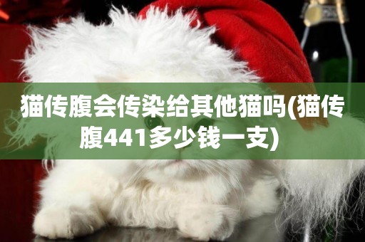貓傳腹會傳染給其他貓嗎(貓傳腹441多少錢一支) 
