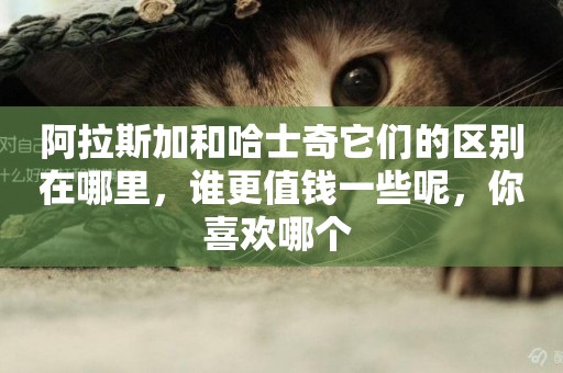 阿拉斯加和哈士奇它們的區別在哪里，誰更值錢一些呢，你喜歡哪個 